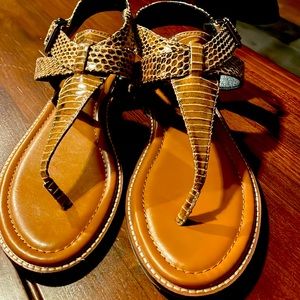 Snake sandal EUC